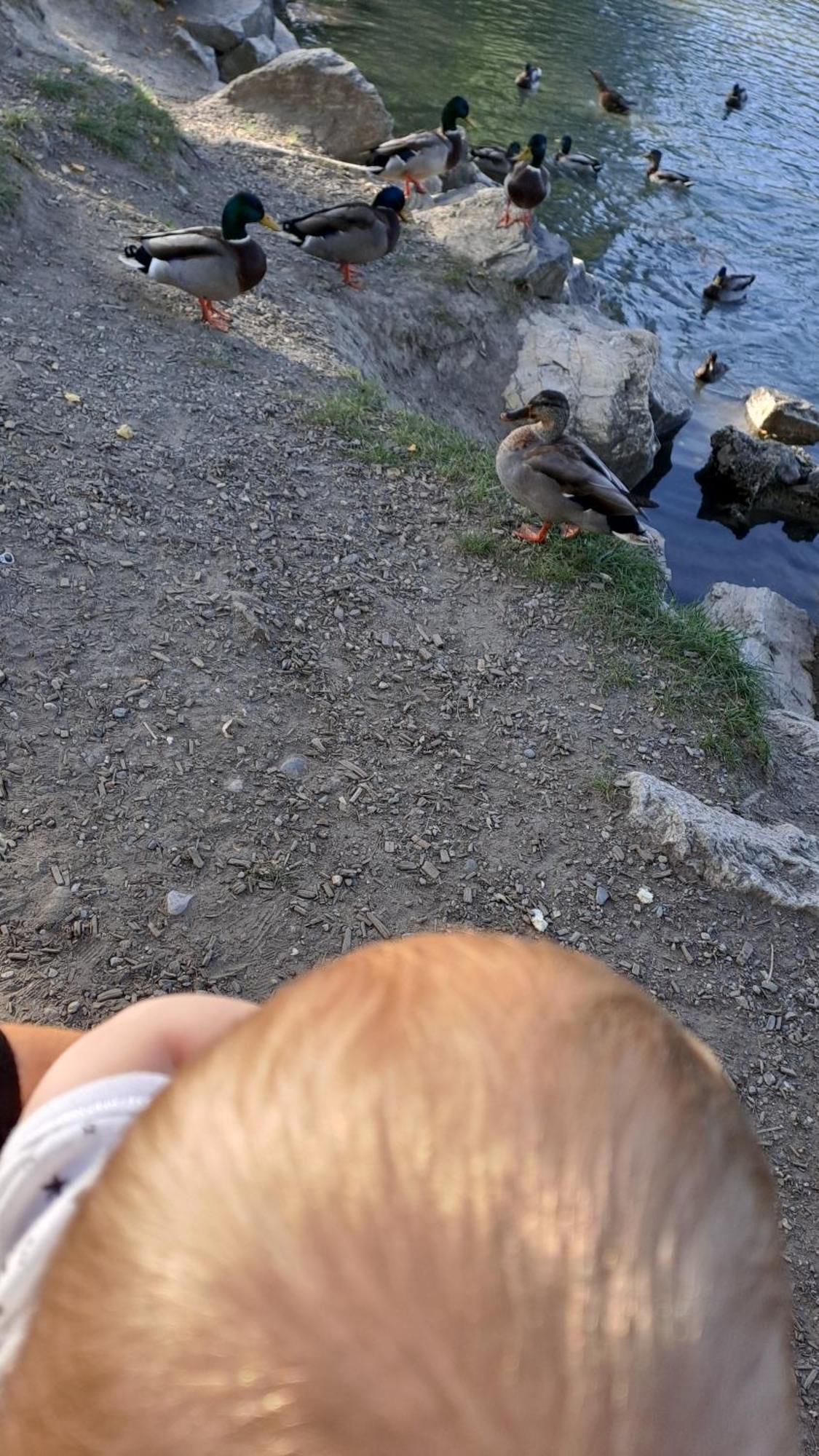 Vacances En Tout Tranquillite A ורקורין מראה חיצוני תמונה